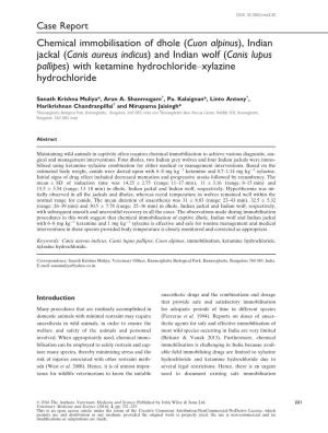 And Indian Wolf (Canis Lupus Pallipes) with Ketamine Hydrochloride–Xylazine Hydrochloride
