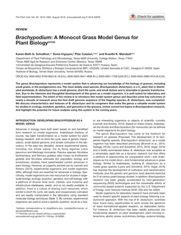 Brachypodium: a Monocot Grass Model Genus for Plant Biology[OPEN]