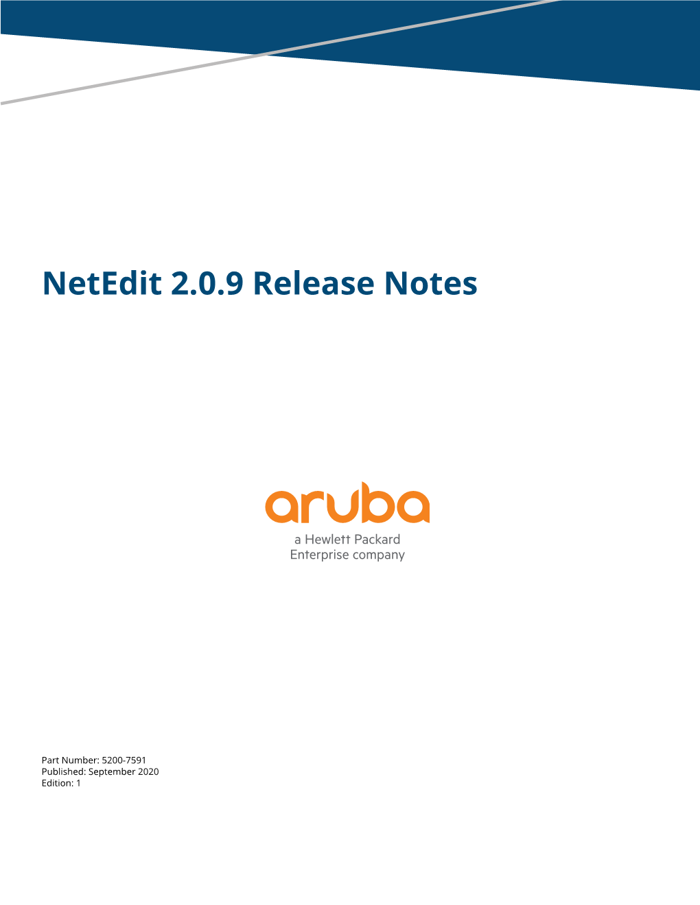 Netedit 2.0.9 Release Notes