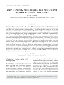 Brain Ischemia, Neurogenesis, and Neurotrophic Receptor Expression in Primates