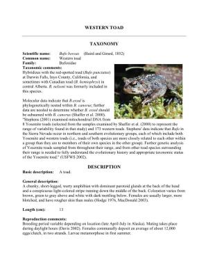Western Toad Taxonomy Description