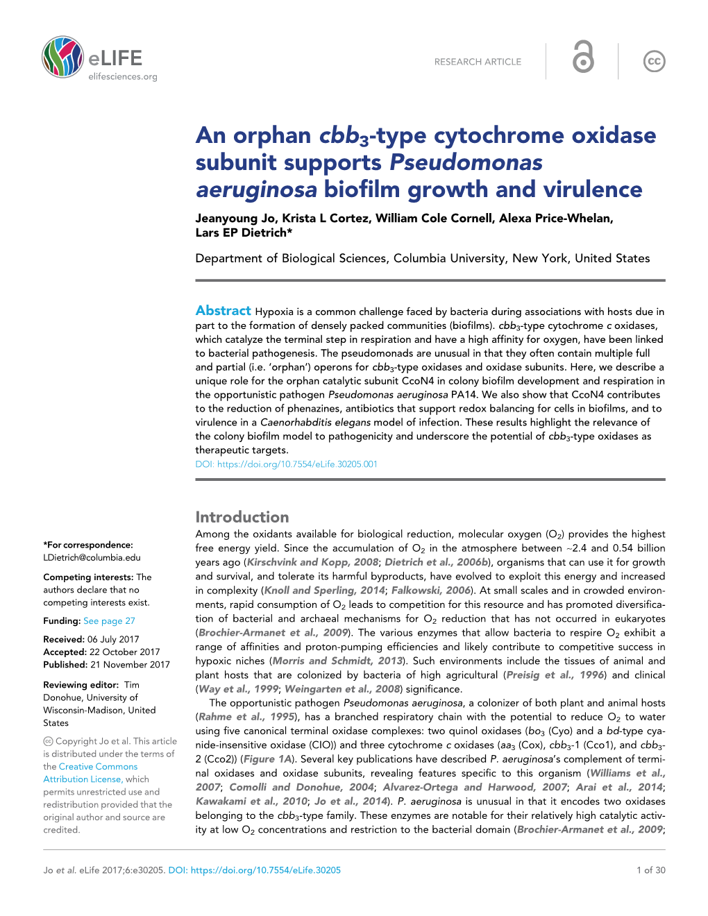 An Orphan Cbb3-Type Cytochrome Oxidase Subunit Supports Pseudomonas Aeruginosa Biofilm Growth and Virulence