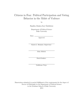 Political Participation and Voting Behavior in the Midst of Violence