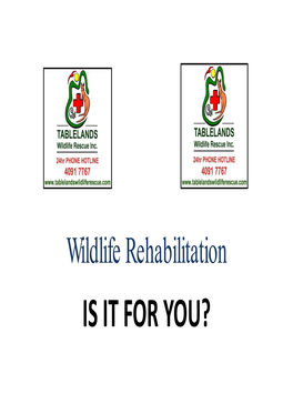 Wildlife Rehabilitation IS IT for YOU? Many People Are Attracted to Wildlife Rehabilitation Because They Believe It Is a Valuable and Rewarding Activity