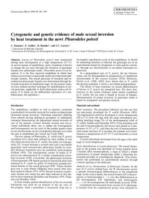 Cytogenetic and Genetic Evidence of Male Sexual Inversion by Heat Treatment in the Newt Pleurodeles Poireti