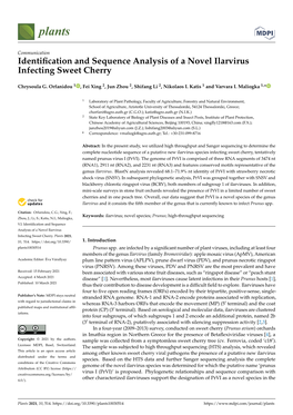 Identification and Sequence Analysis of a Novel Ilarvirus Infecting Sweet