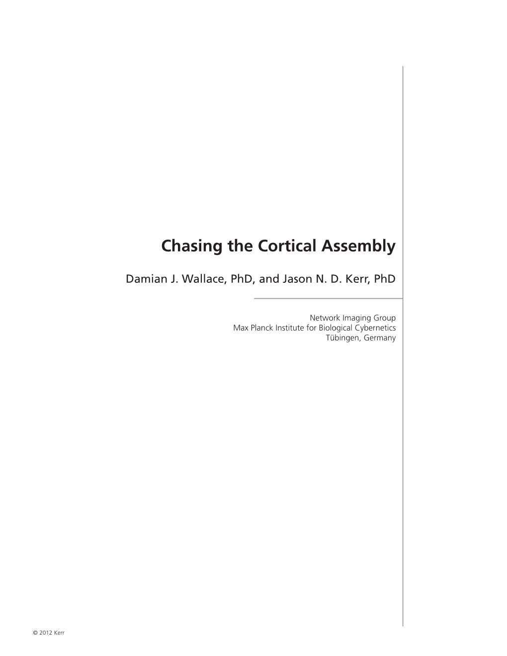 Chasing the Cortical Assembly