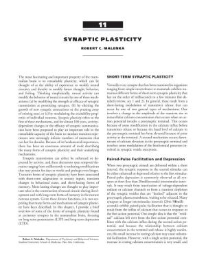 Chapter 11: Synaptic Plasticity (PDF)