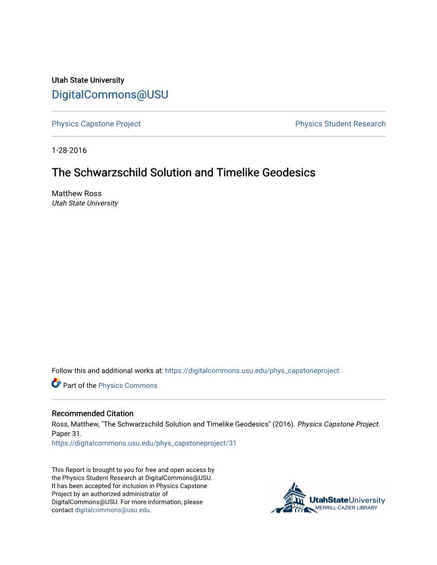 The Schwarzschild Solution and Timelike Geodesics