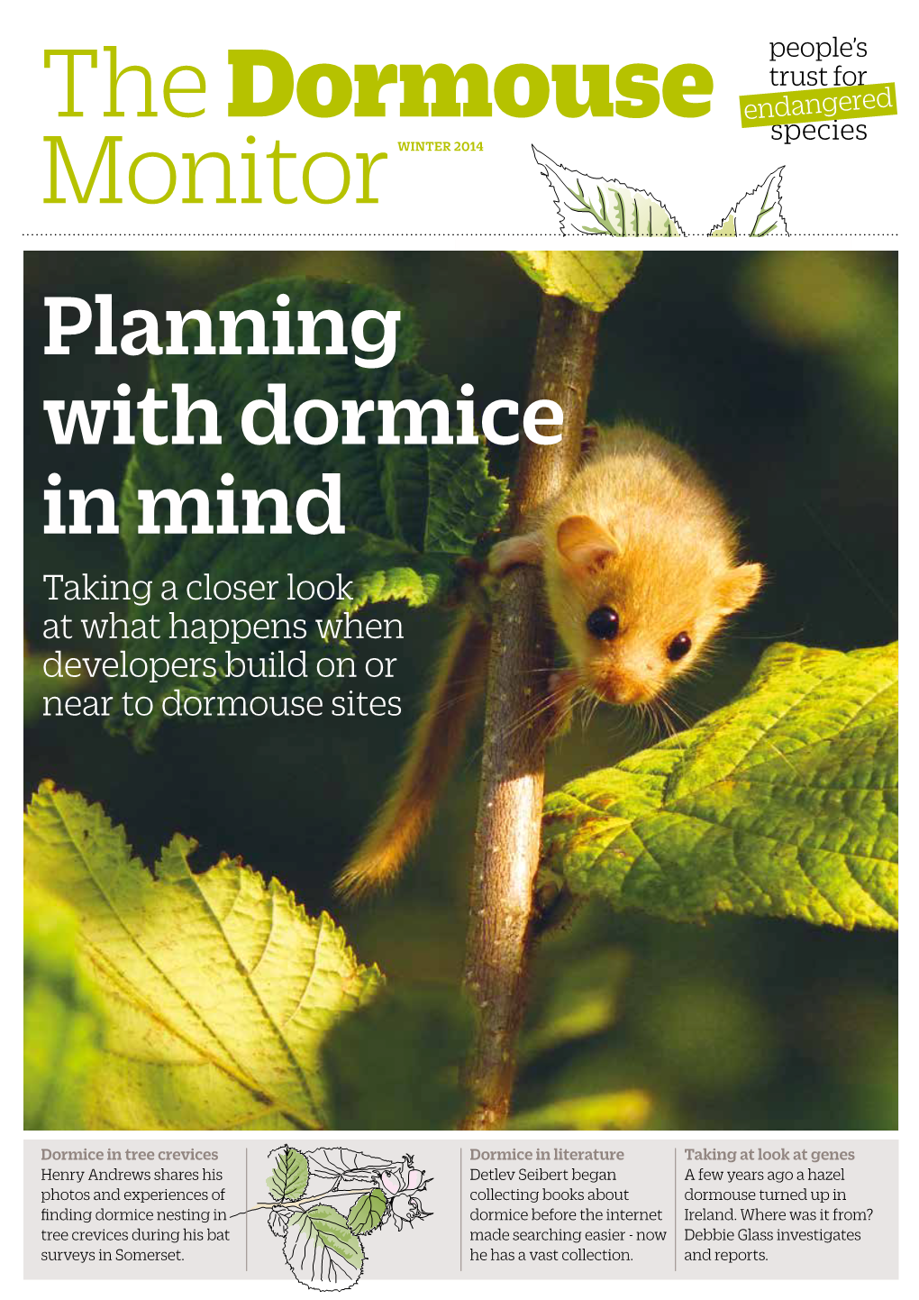 Planning with Dormice in Mind Taking a Closer Look at What Happens When Developers Build on Or Near to Dormouse Sites