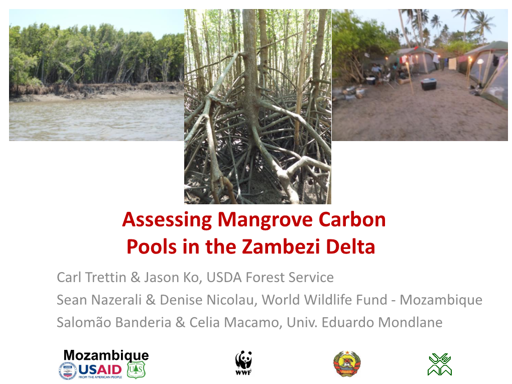 Assessing Mangrove Carbon Pools in the Zambezi Delta