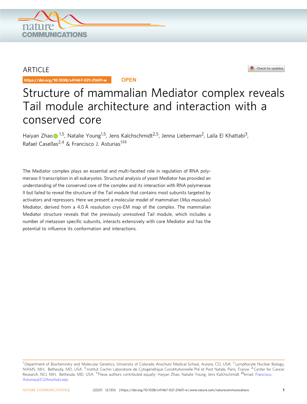 Structure of Mammalian Mediator Complex Reveals Tail Module Architecture and Interaction with a Conserved Core