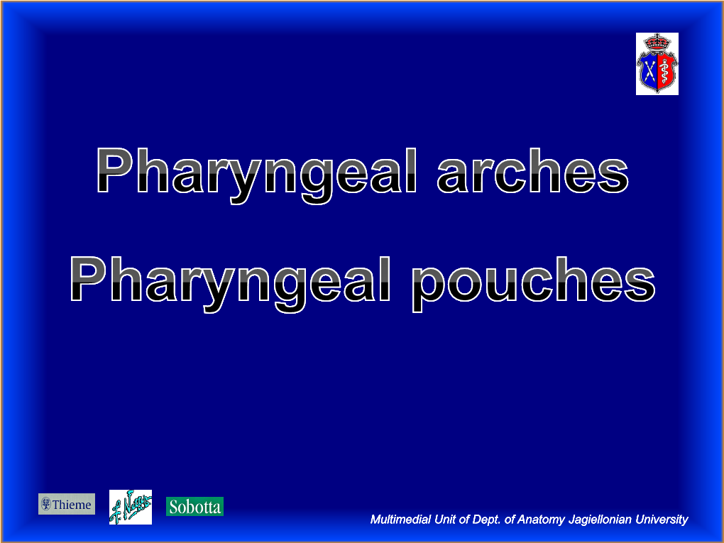 Pharyngeal Arches. Pharyngeal Pouches