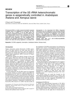 Transcription of the 5S Rrna Heterochromatic Genes Is Epigenetically Controlled in Arabidopsis Thaliana and Xenopus Laevis