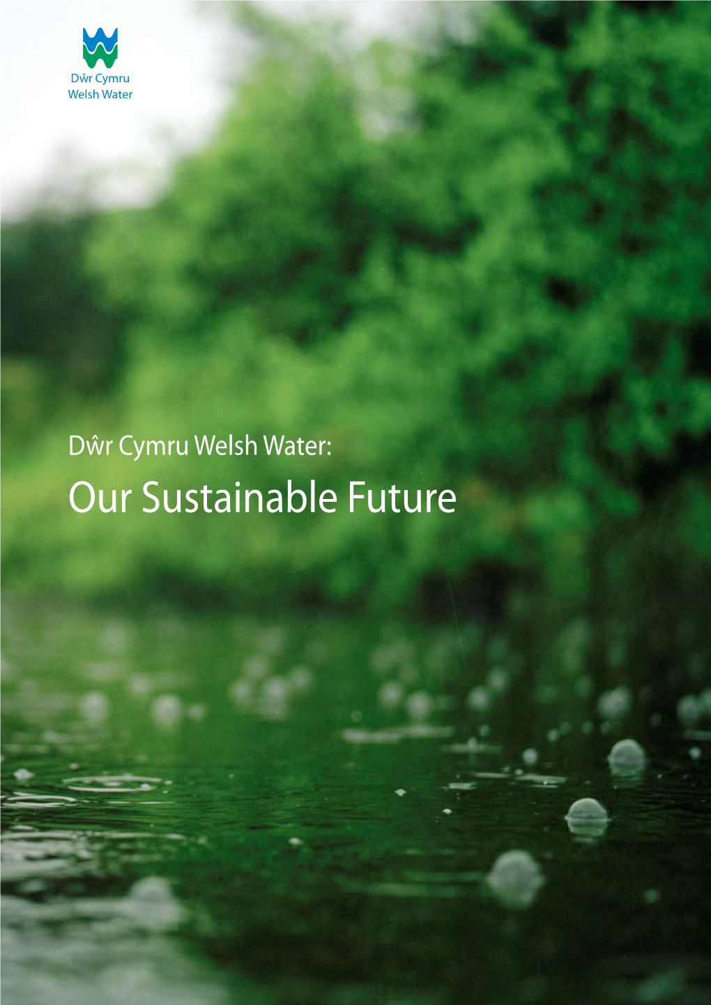 Our Sustainable Future 1 Foreword 2 Our Business Your Views: We Would Welcome Comments on This 4 Our Goal Document