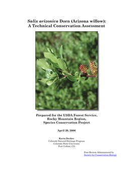 Arizona Willow): a Technical Conservation Assessment