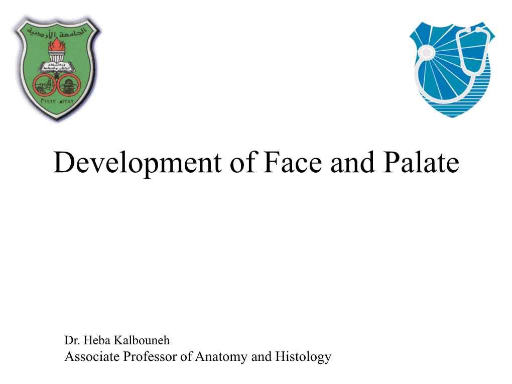 Development of Face and Palate