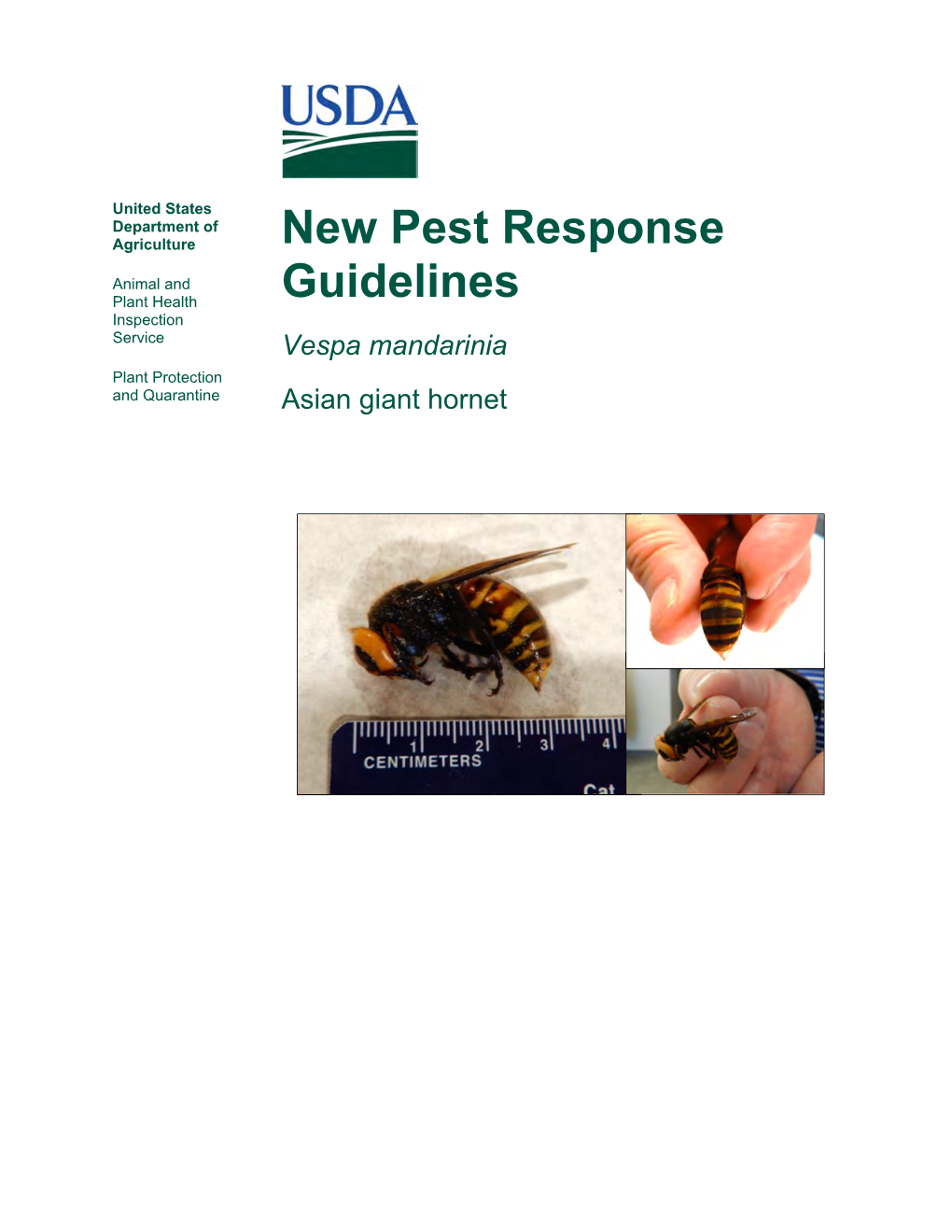 Vespa Mandarinia Pest Response Guidelines