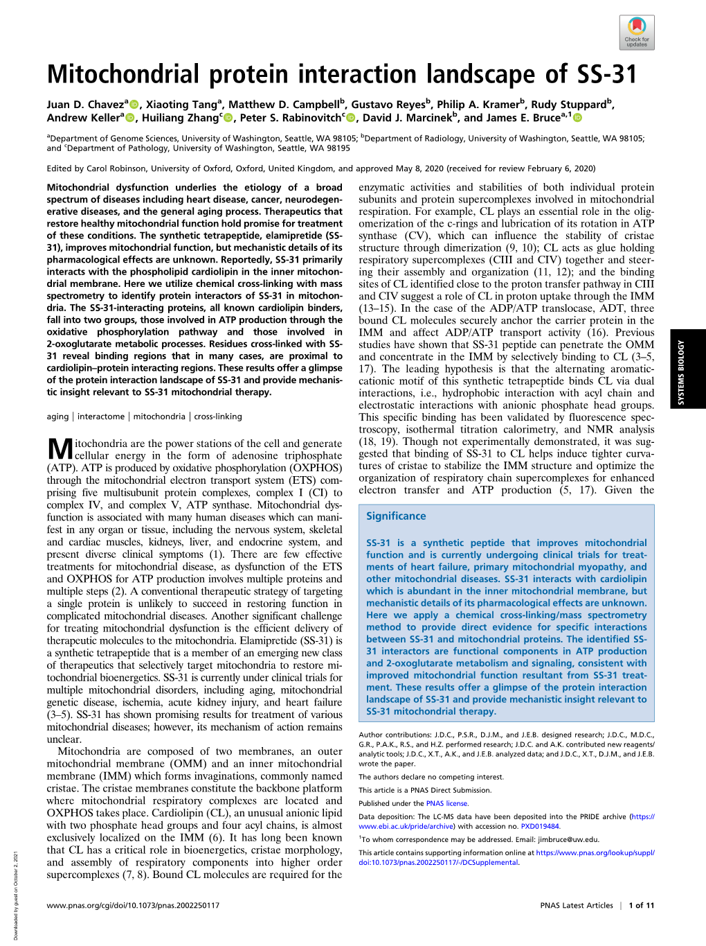 Mitochondrial Protein Interaction Landscape of SS-31