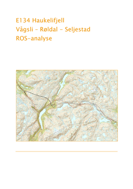 E134 Haukelifjell Vågsli – Røldal - Seljestad ROS-Analyse