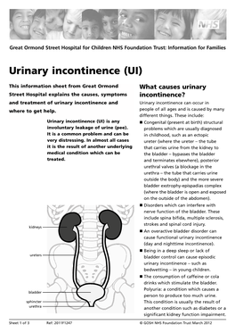 Urinary Incontinence (UI)