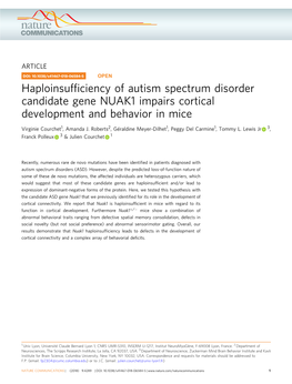 Haploinsufficiency of Autism Spectrum Disorder Candidate Gene NUAK1 Impairs Cortical Development and Behavior in Mice