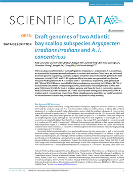 Draft Genomes of Two Atlantic Bay Scallop Subspecies Argopecten