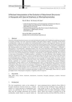 A Revised Interpretation of the Evolution of Attachment Structures in Hexapoda with Special Emphasis on Mantophasmatodea