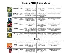 PLUM VARIETIES 2019 Variety Approx