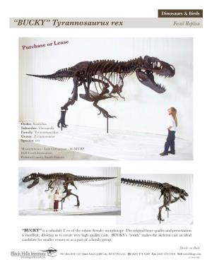 “BUCKY” Tyrannosaurus Rex Fossil Replica