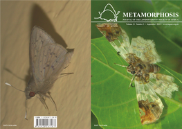 Metamorphosis Vol 21(3) 109-140 Sept 2010.Pdf