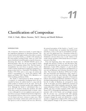 Classification of Compositae