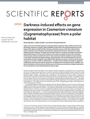 Darkness-Induced Effects on Gene Expression in Cosmarium