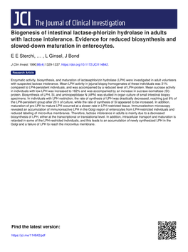 Biogenesis of Intestinal Lactase-Phlorizin Hydrolase in Adults with Lactose Intolerance