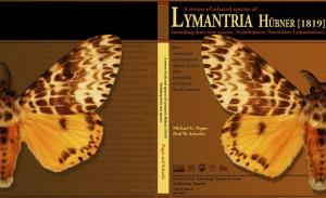 Lymantria (Nyctria) ﬂavida by Paul W