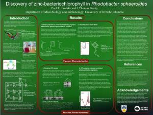 Discovery of Zinc-Bacteriochlorophyll in Rhodobacter Sphaeroides Paul R