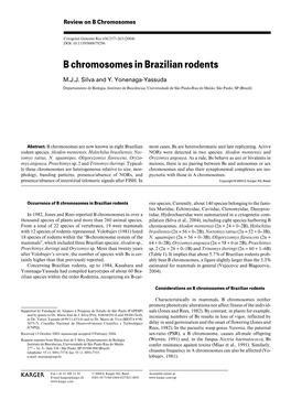 B Chromosomes in Brazilian Rodents