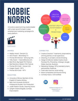 Red and Blue Colorful Infographic Resume
