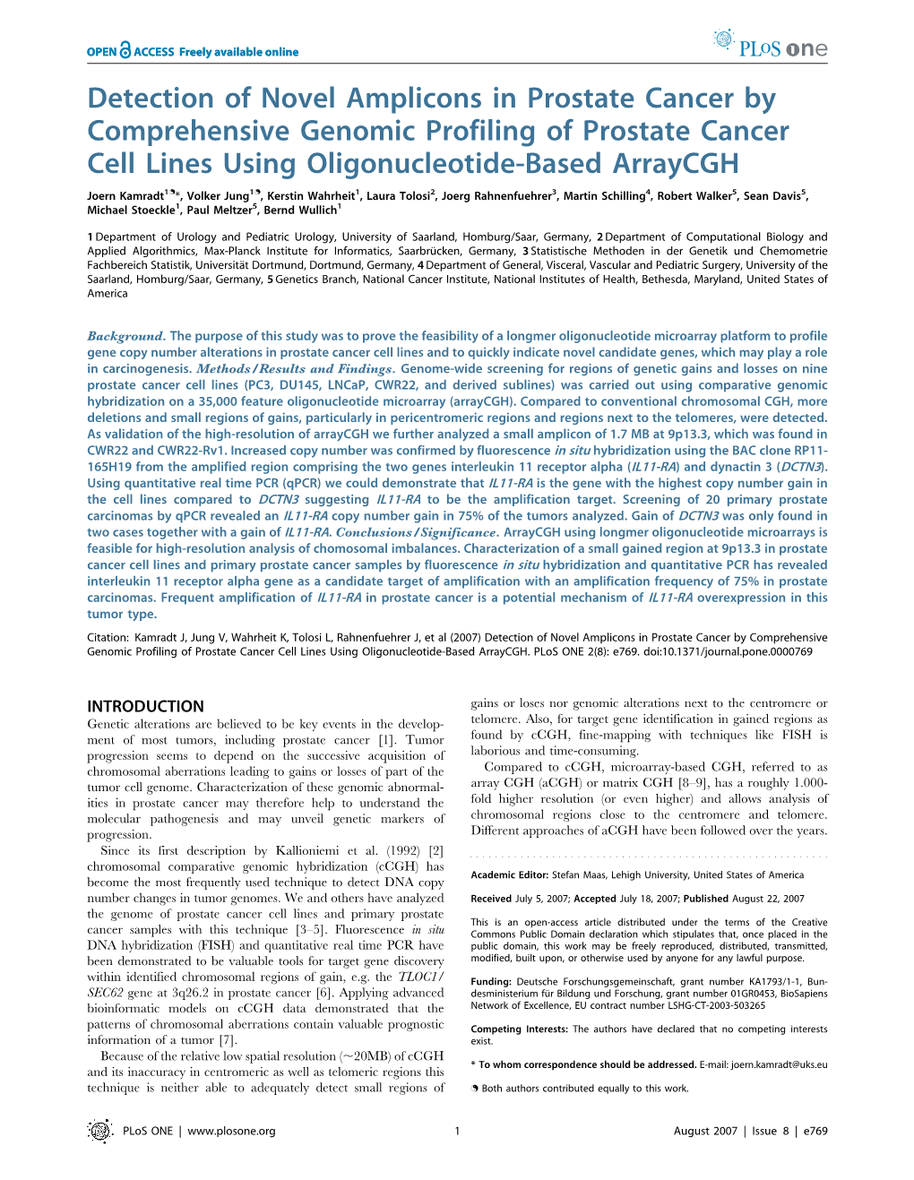 Detection of Novel Amplicons in Prostate Cancer by Comprehensive