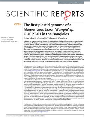 The First Plastid Genome of a Filamentous Taxon 'Bangia' Sp