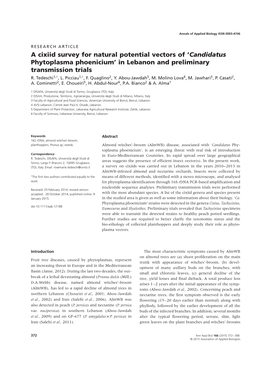 Candidatus Phytoplasma Phoenicium' in Lebanon and Preliminary