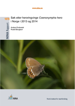 Søk Etter Heroringvinge Coenonympha Hero I Norge I 2013 Og 2014