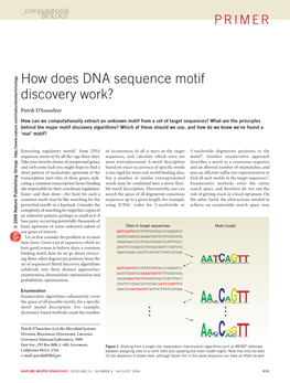 How Does DNA Sequence Motif Discovery Work?