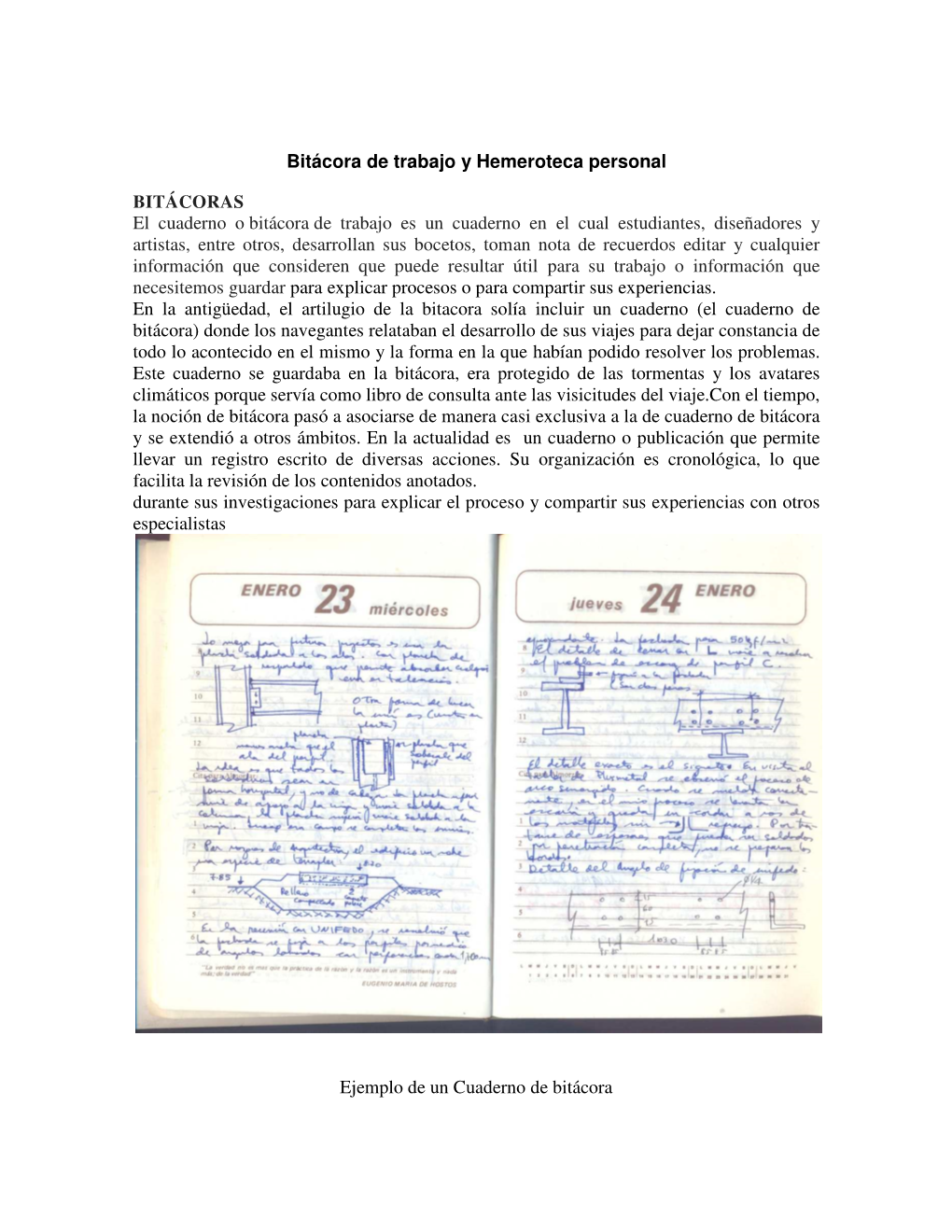 42315 Bitácora De Trabajo Y Hemeroteca Personal