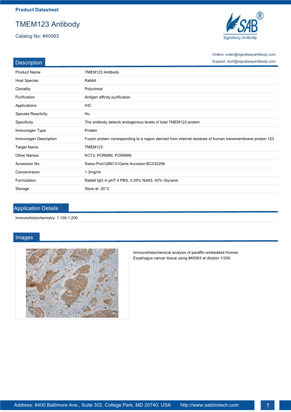 TMEM123 Antibody