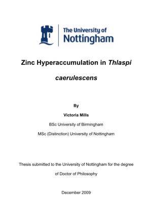 Zinc Hyperaccumulation in Thlaspi Caerulescens, the Model Heavy Metal Accumulator Plant