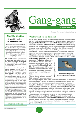 Gang-Gang November 2007.Pub