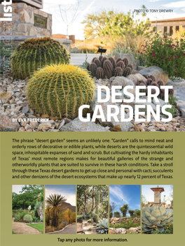 Desert Garden” Seems an Unlikely One