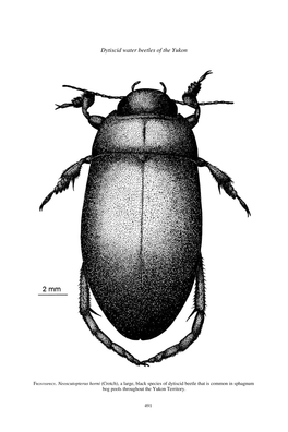 Dytiscid Water Beetles (Coleoptera: Dytiscidae) of the Yukon