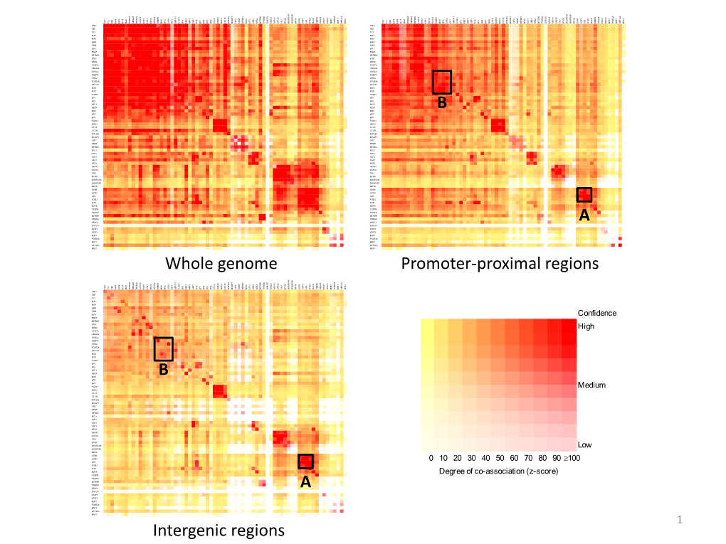 Whole Genome Promoter-‐Proximal Regions